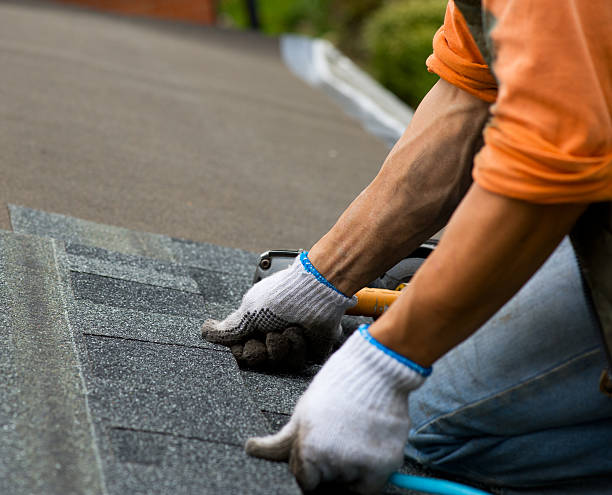 Best Gutter Installation and Roofing  in Rochelle, GA